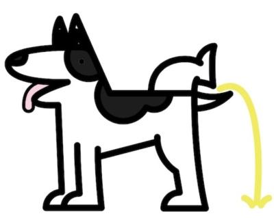 waakhond